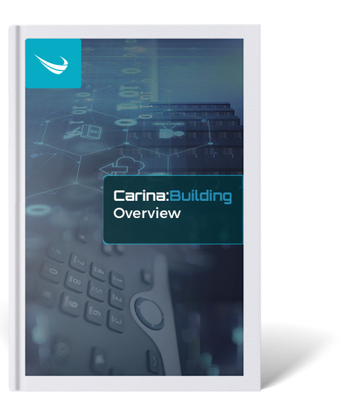 Carina Overview PDF Image